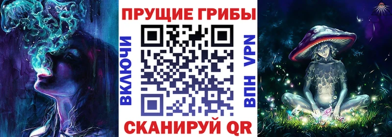 Галлюциногенные грибы Magic Shrooms Купить Кулебаки
